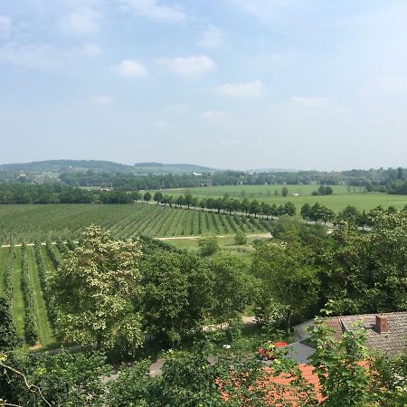 Ferienwohnung Zum Saaletalblick Naumburg  Exteriör bild