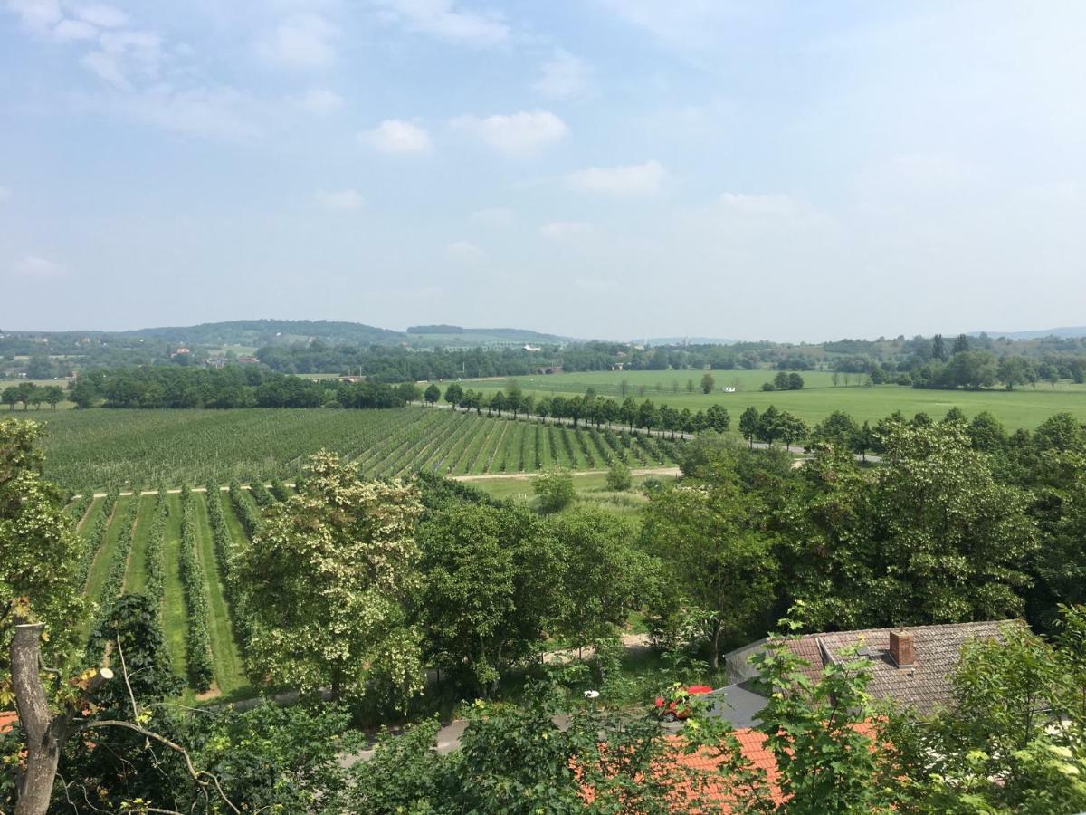 Ferienwohnung Zum Saaletalblick Naumburg  Exteriör bild