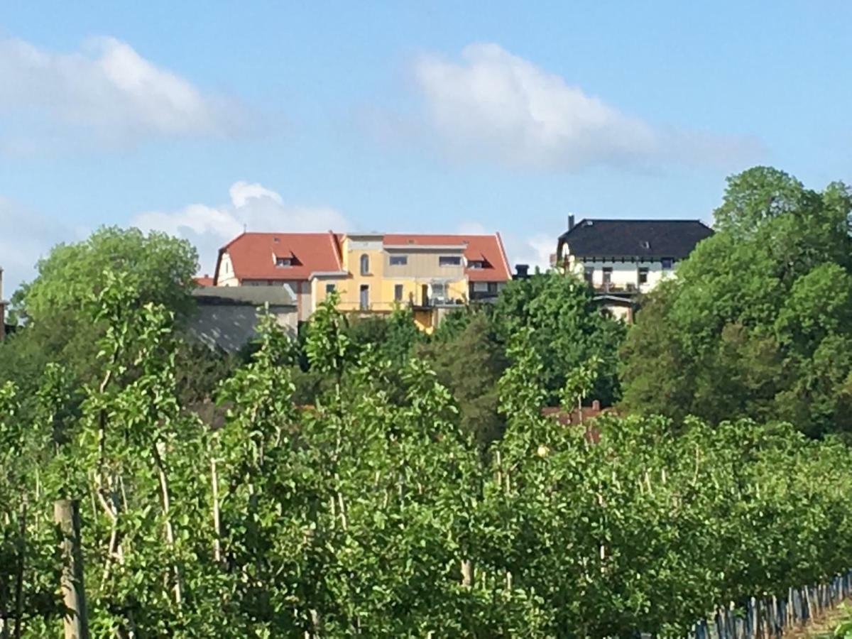 Ferienwohnung Zum Saaletalblick Naumburg  Exteriör bild